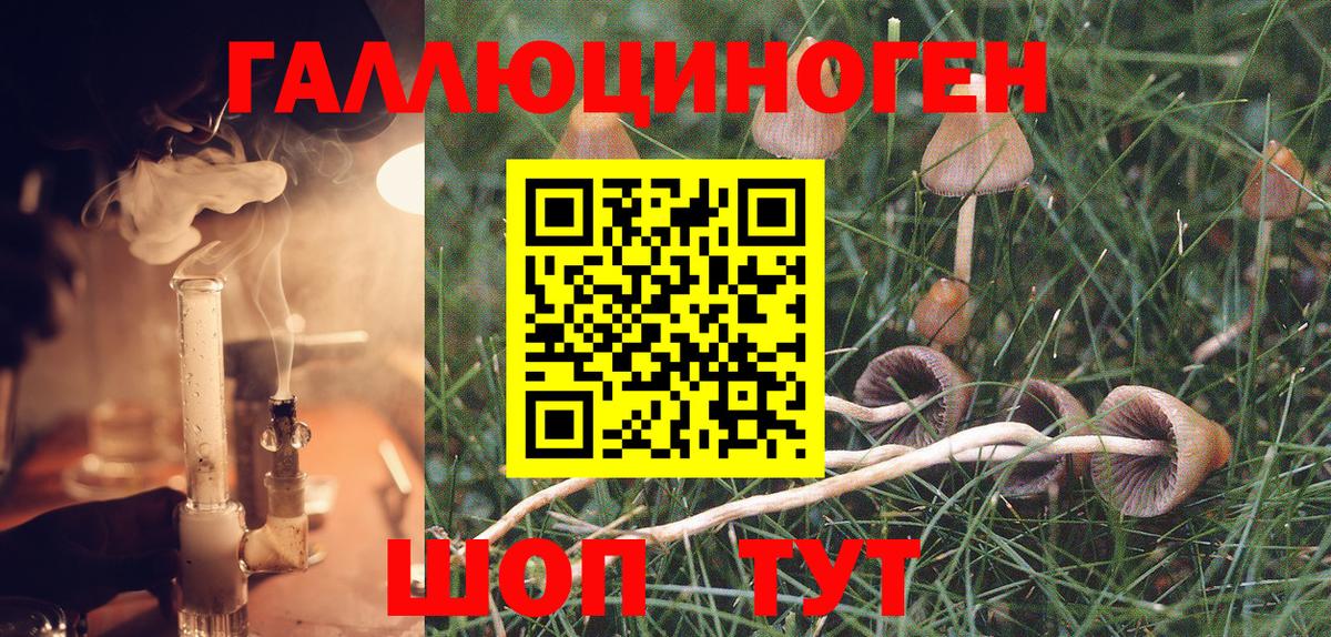 Псилоцибиновые грибы GOLDEN TEACHER Углич